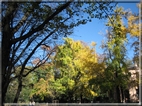 foto Giardini di Porta Venezia